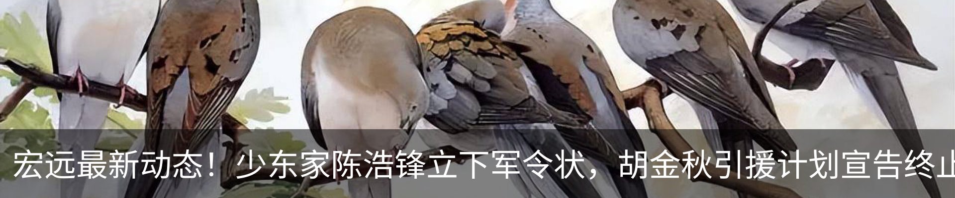 热点资讯